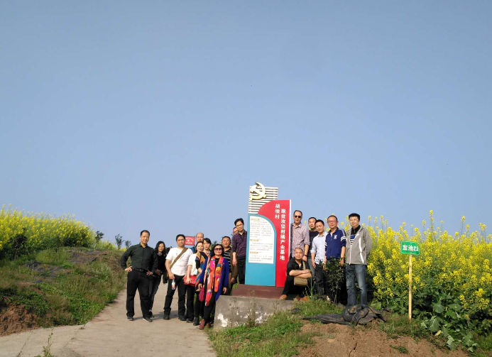 点击浏览下一页